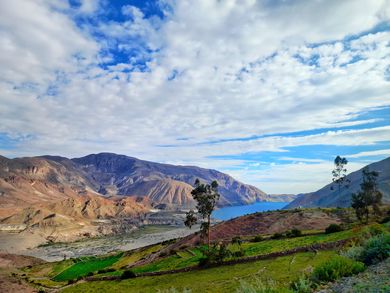 La Laguna de Aricota: ¿Un tesoro en crisis?